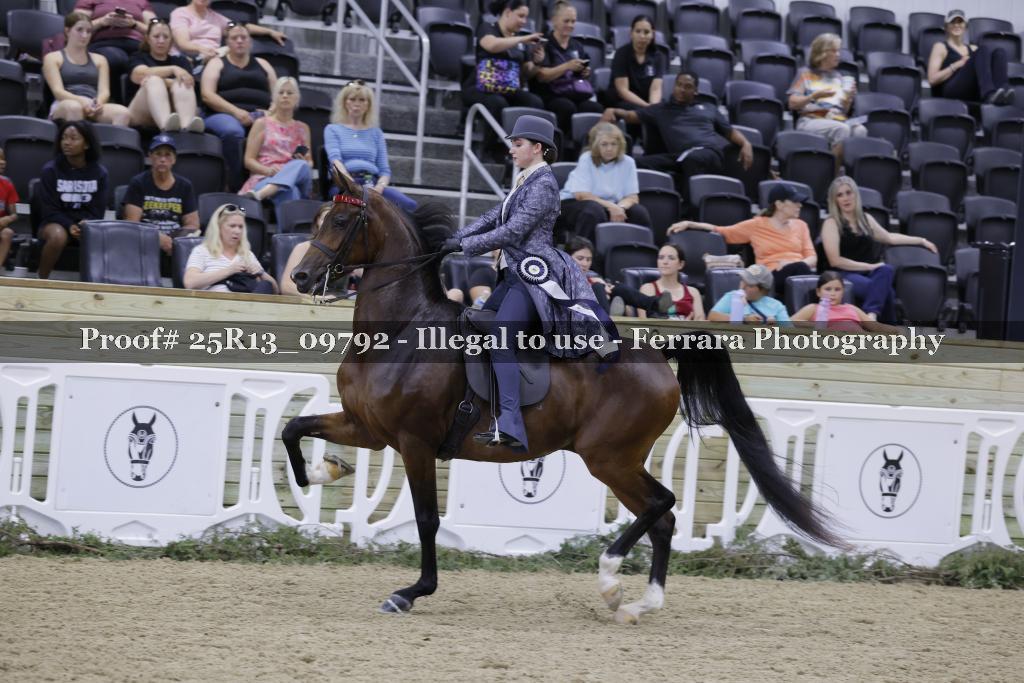 Proof 25R13_09792