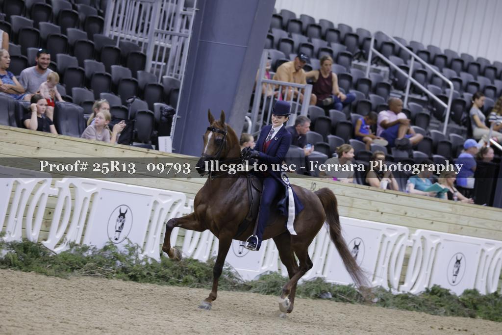 Proof 25R13_09793