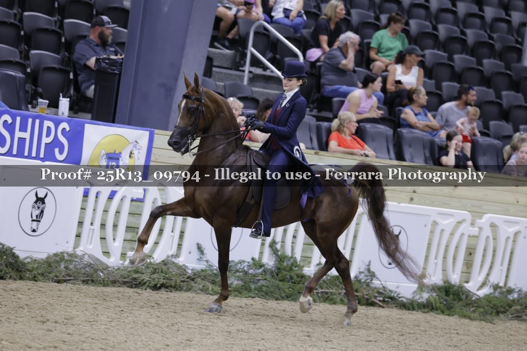 Proof 25R13_09794