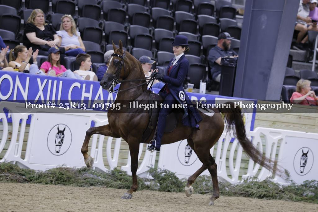 Proof 25R13_09795