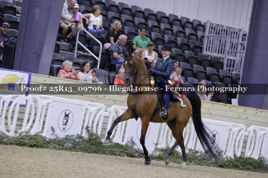 Proof 25R13_09796