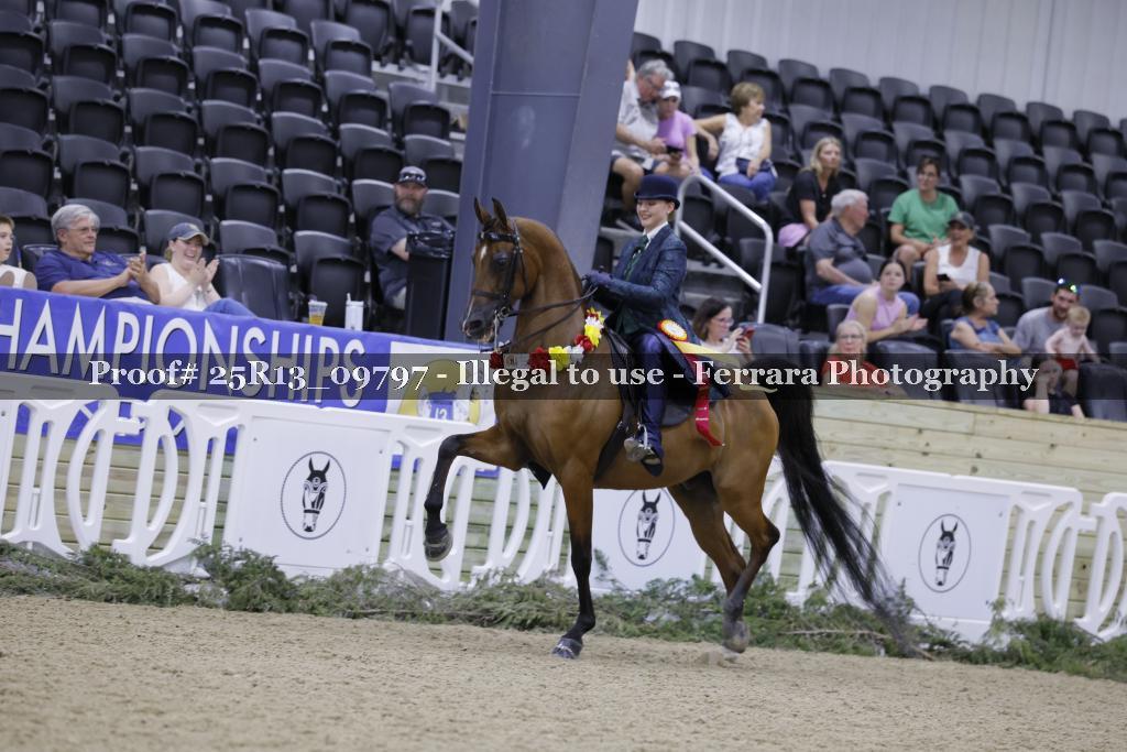 Proof 25R13_09797