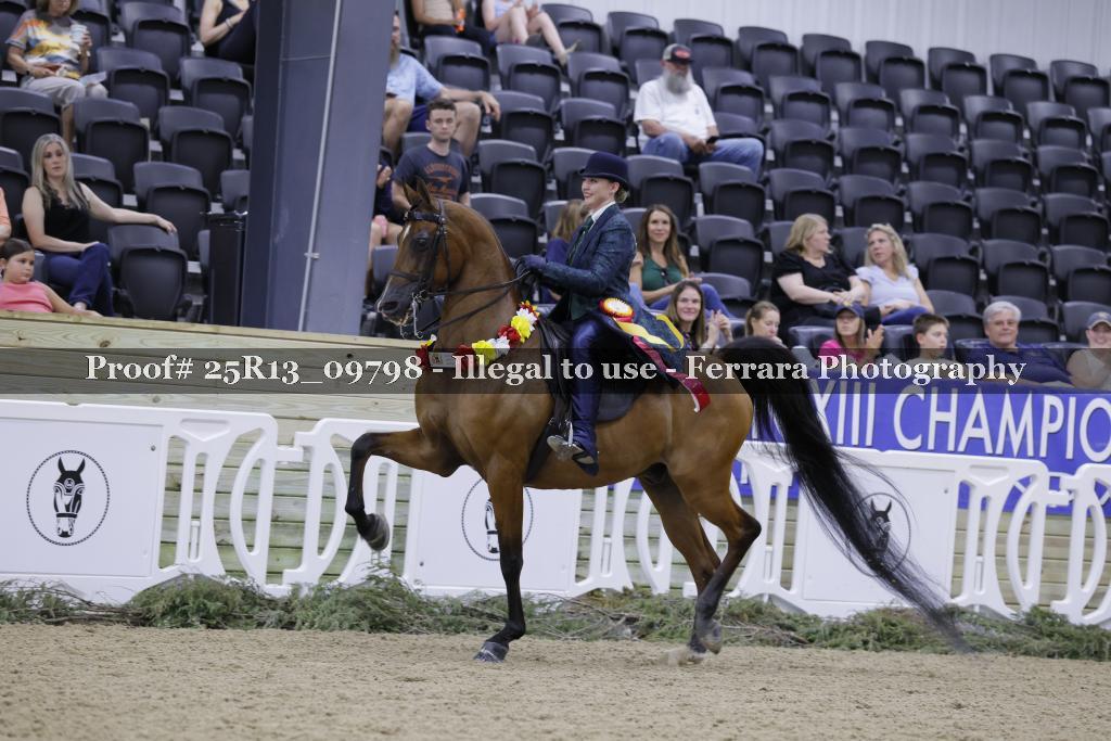 Proof 25R13_09798