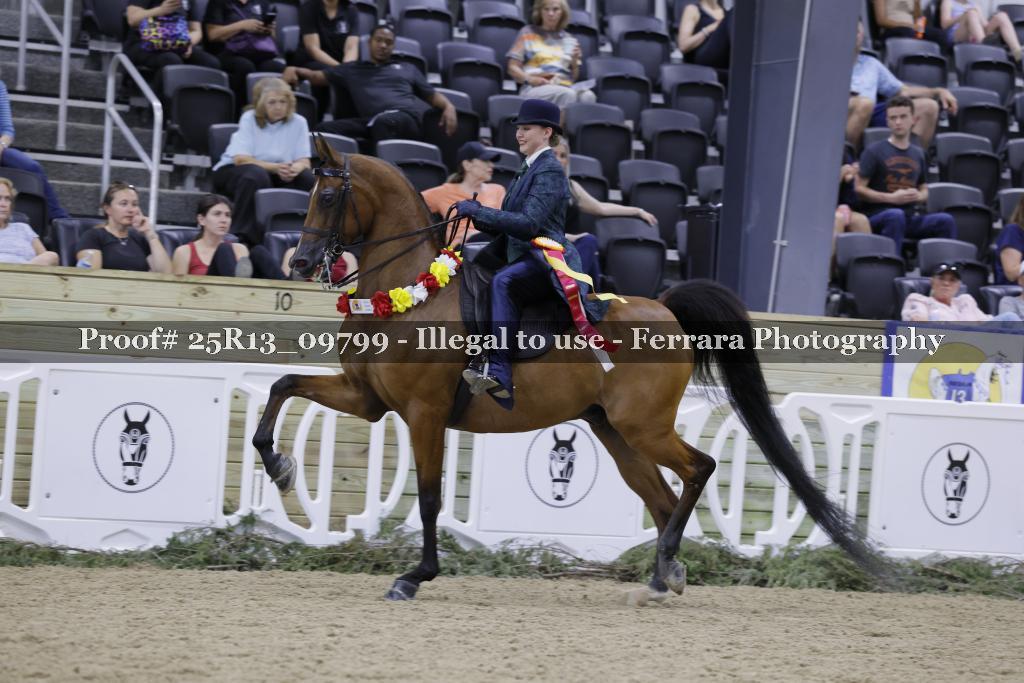 Proof 25R13_09799