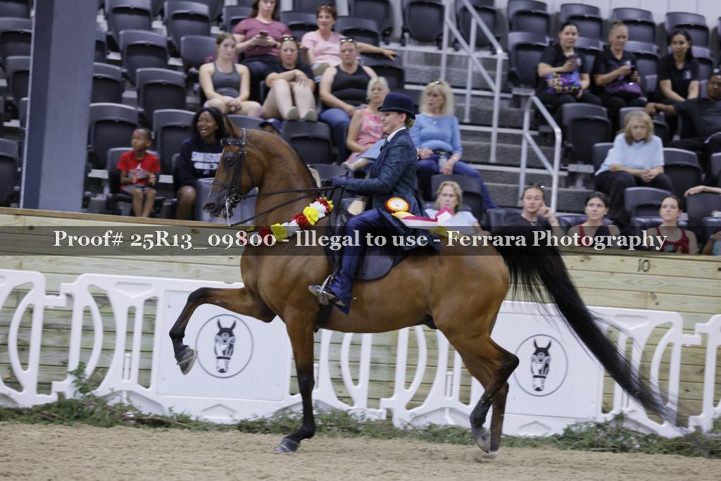 Proof 25R13_09800