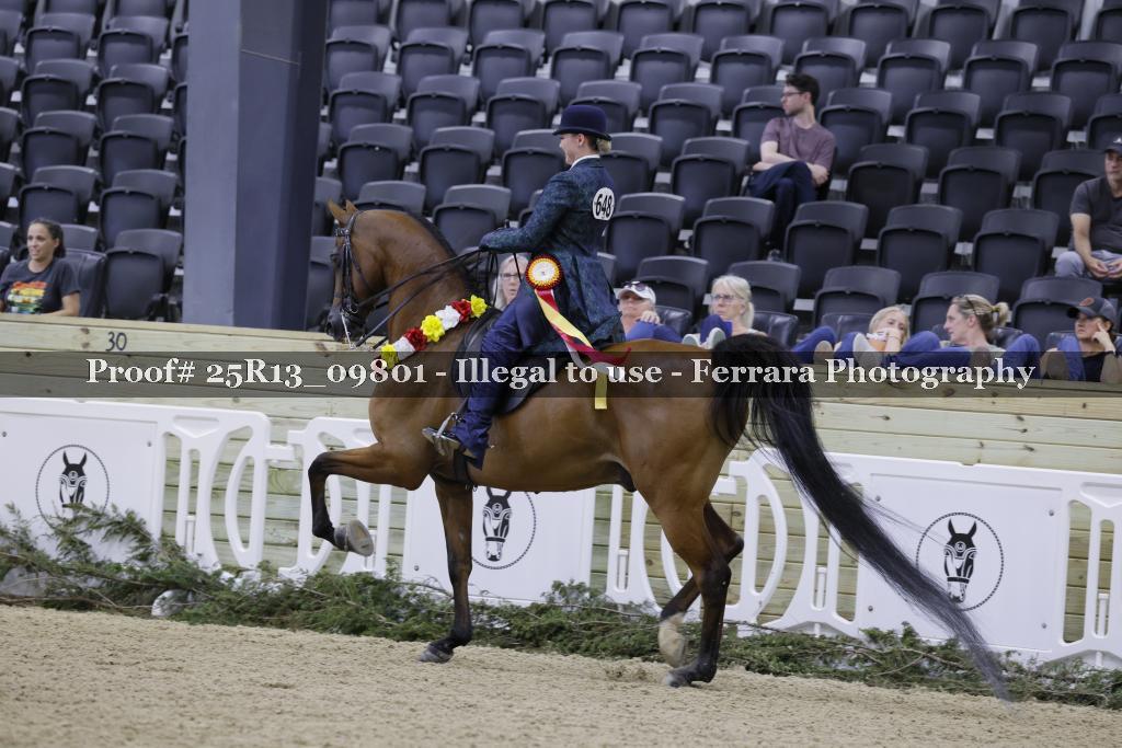 Proof 25R13_09801