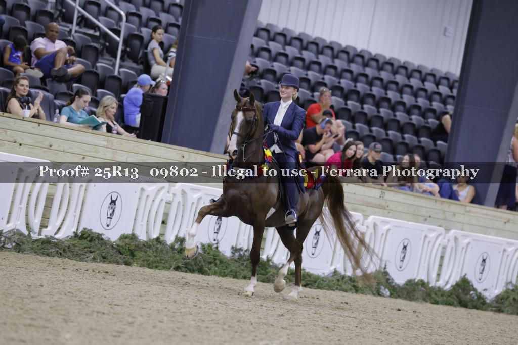 Proof 25R13_09802