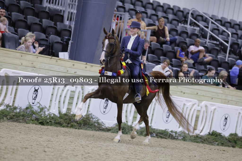 Proof 25R13_09803
