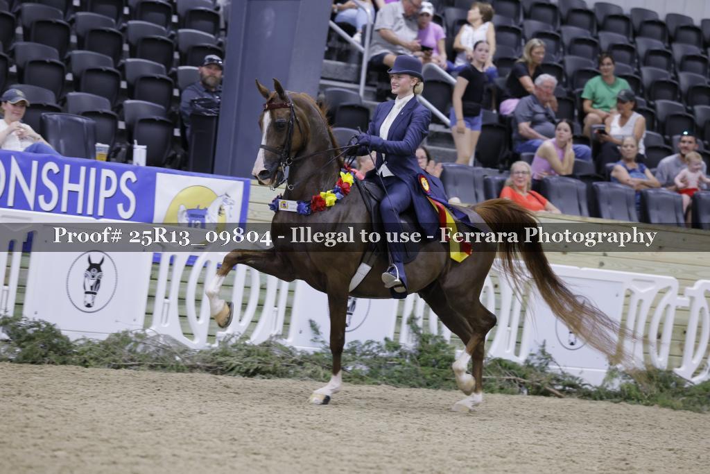 Proof 25R13_09804