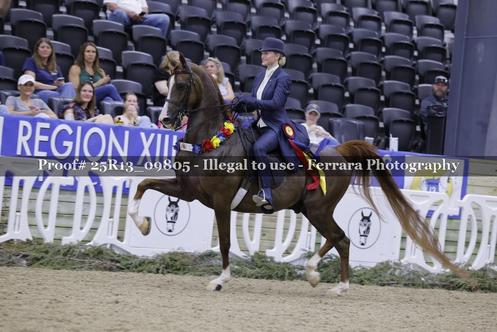 Proof 25R13_09805