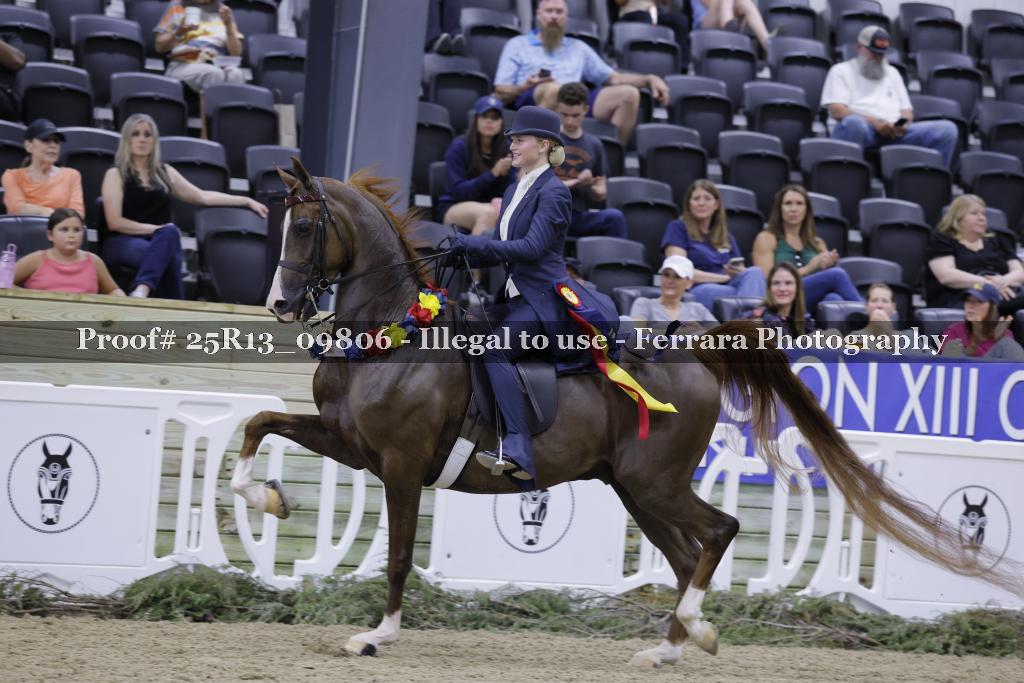Proof 25R13_09806