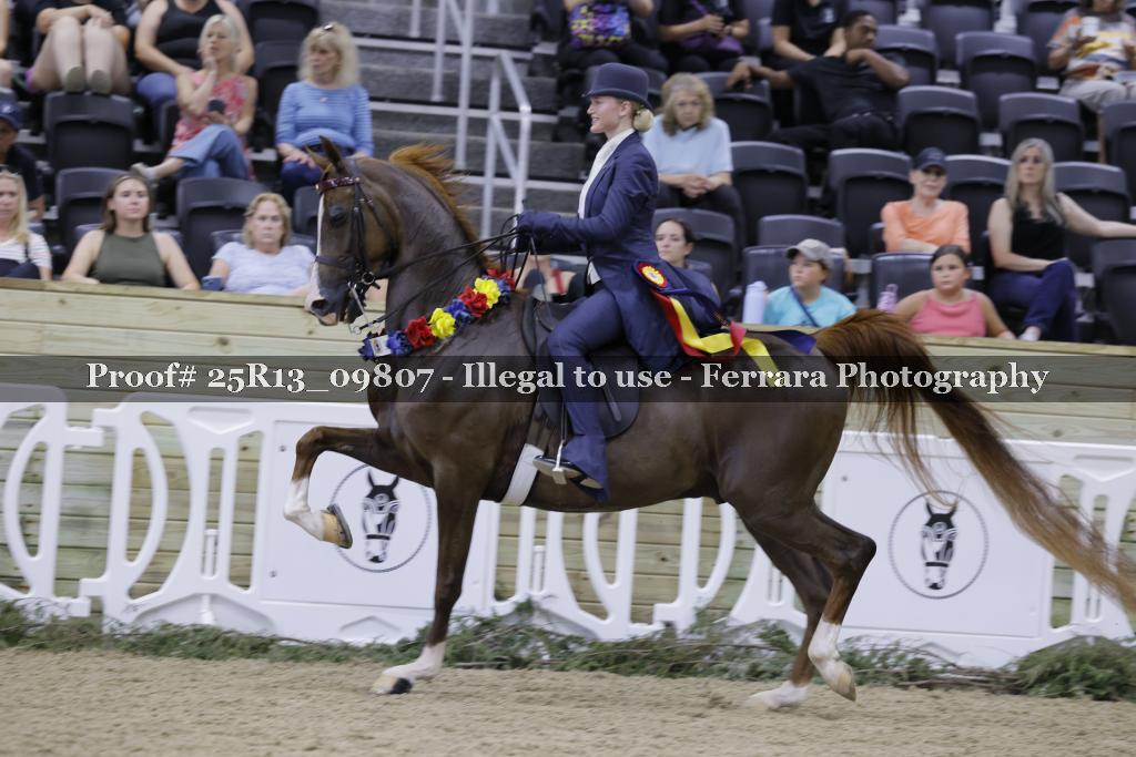 Proof 25R13_09807
