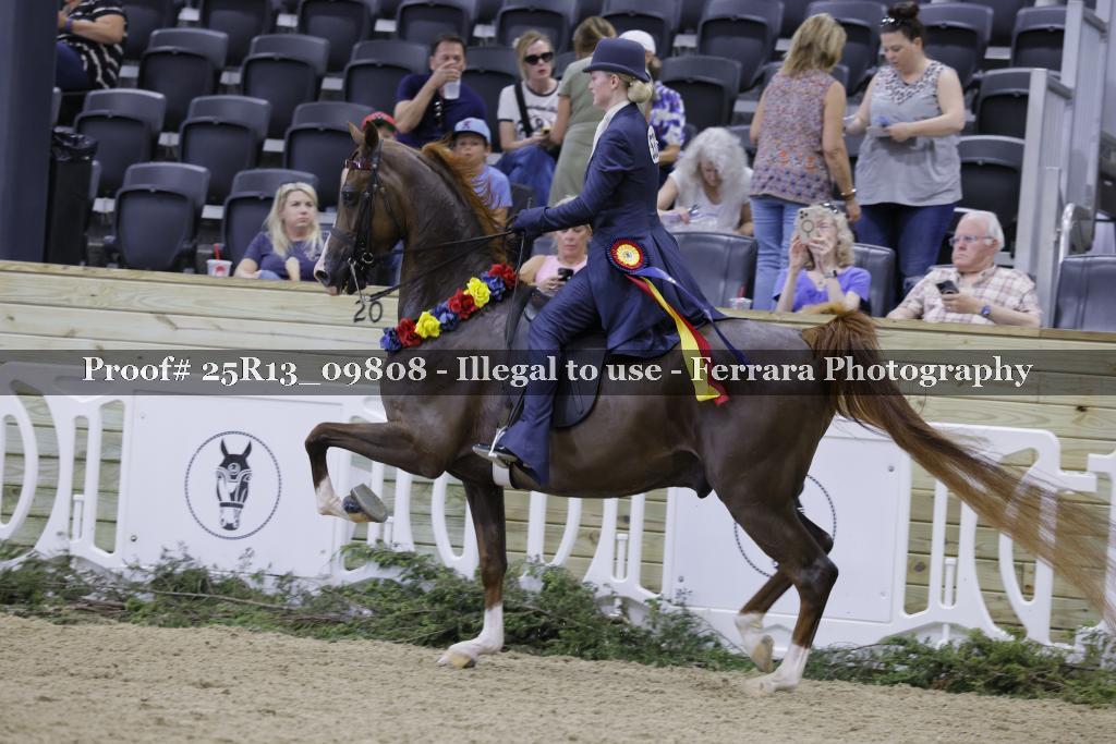 Proof 25R13_09808