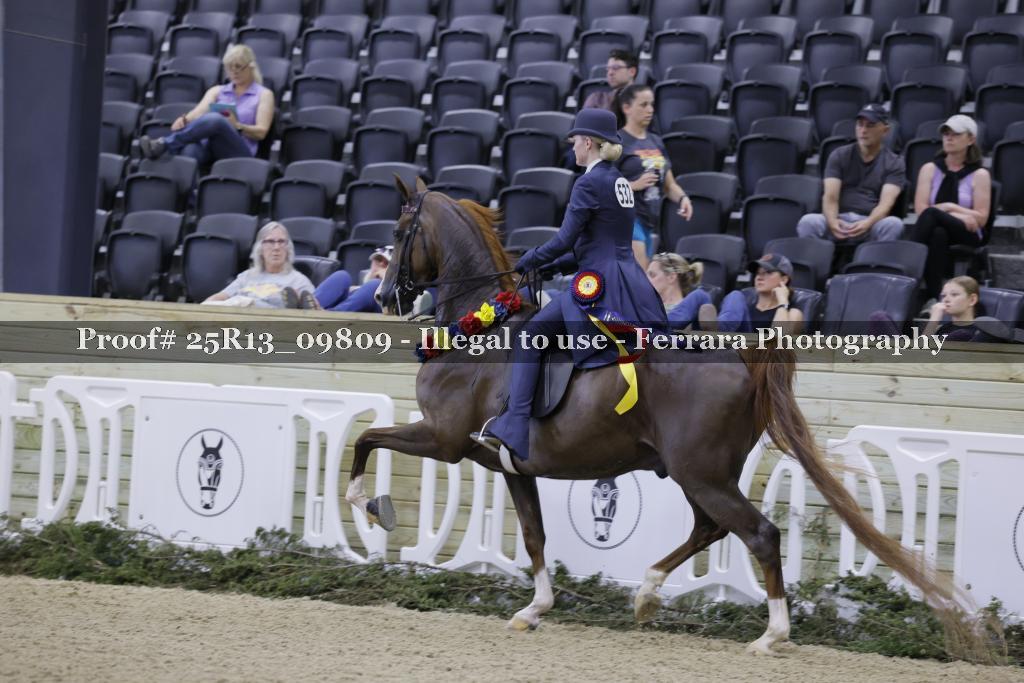 Proof 25R13_09809