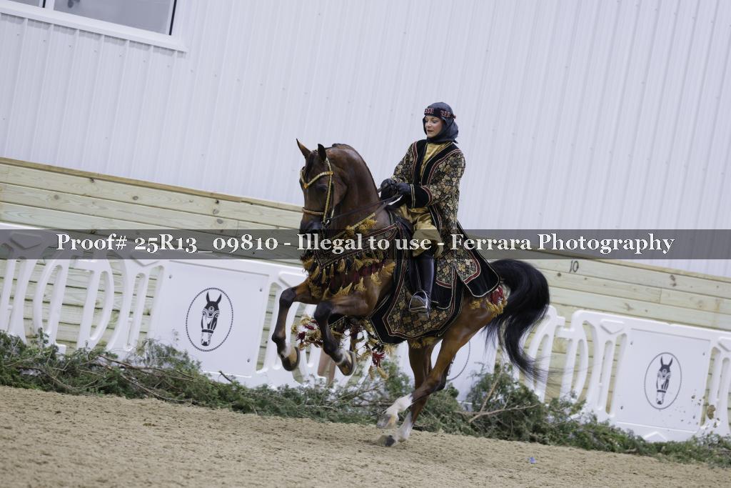 Proof 25R13_09810