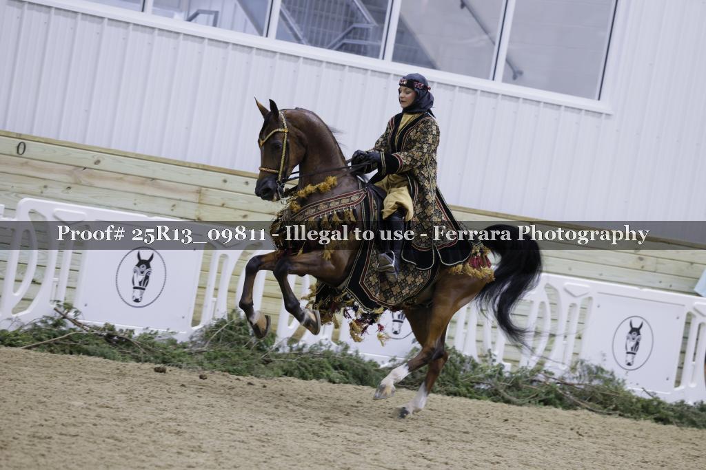 Proof 25R13_09811
