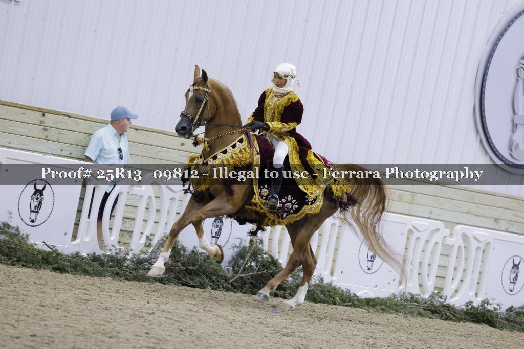 Proof 25R13_09812