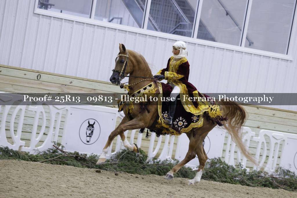 Proof 25R13_09813