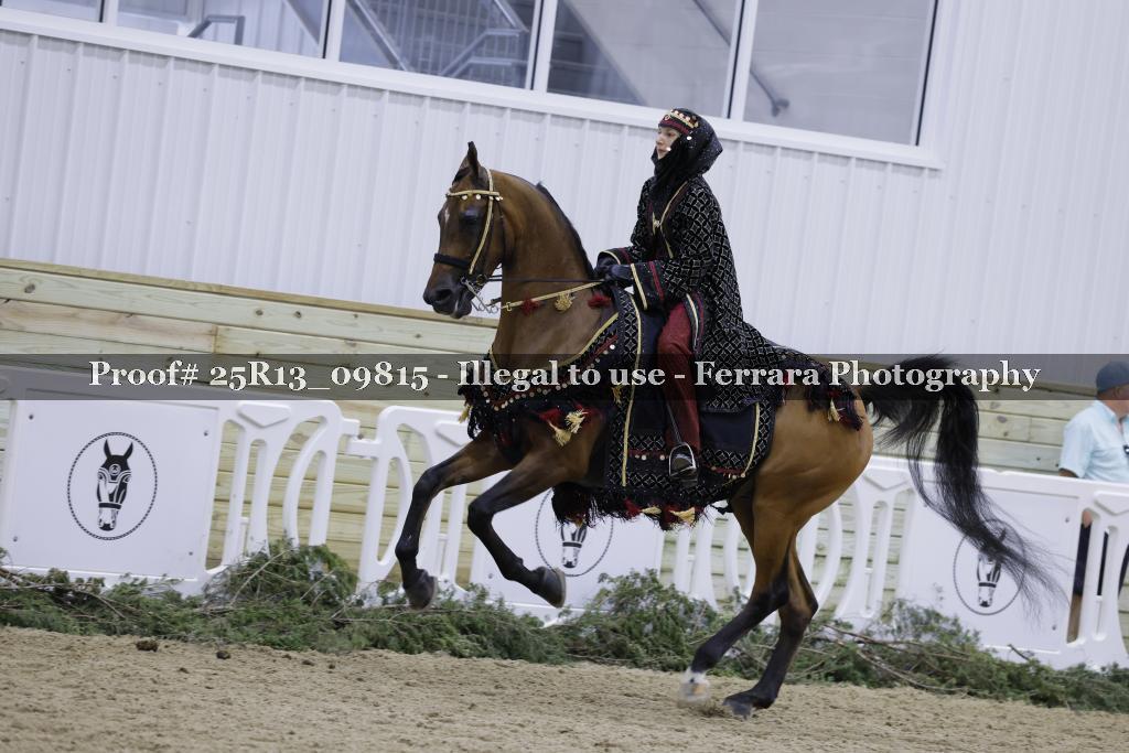 Proof 25R13_09815