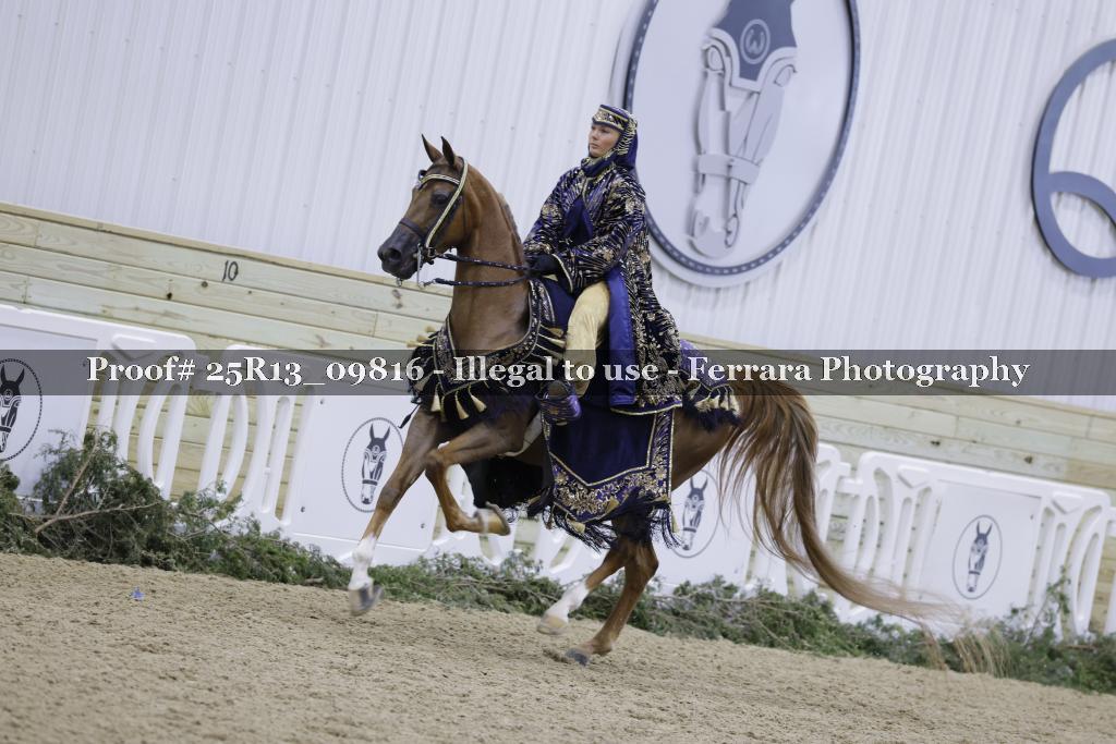 Proof 25R13_09816