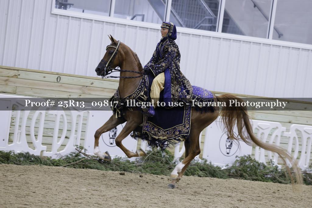 Proof 25R13_09817