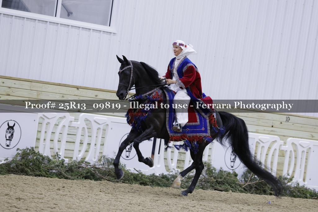 Proof 25R13_09819