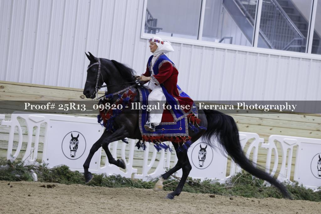 Proof 25R13_09820