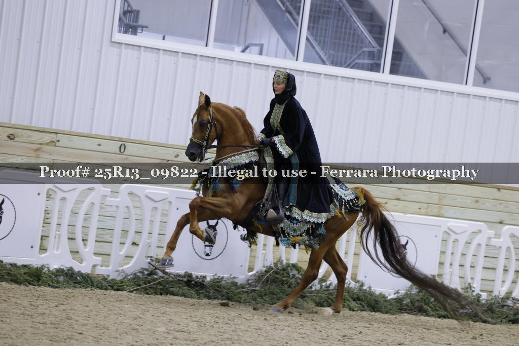 Proof 25R13_09822