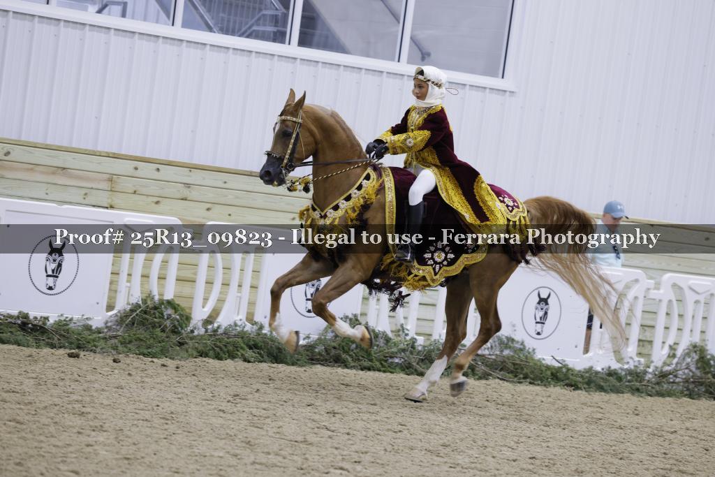 Proof 25R13_09823