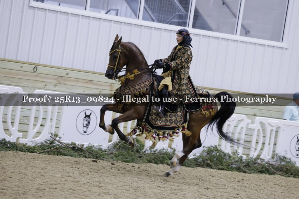Proof 25R13_09824