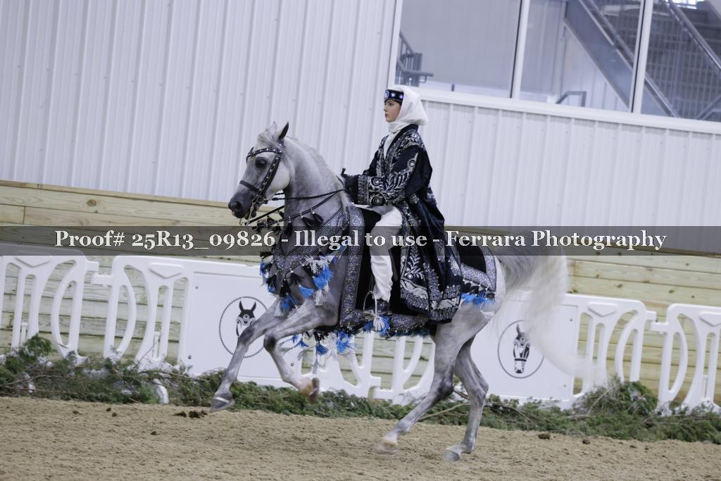 Proof 25R13_09826