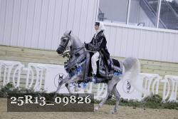 25R13_09826 proof