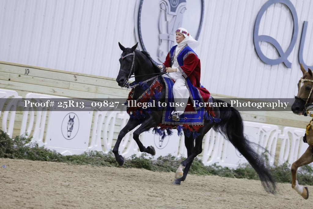 Proof 25R13_09827
