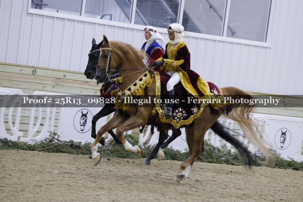 Proof 25R13_09828