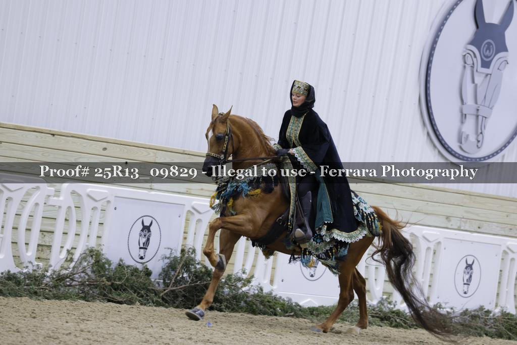 Proof 25R13_09829