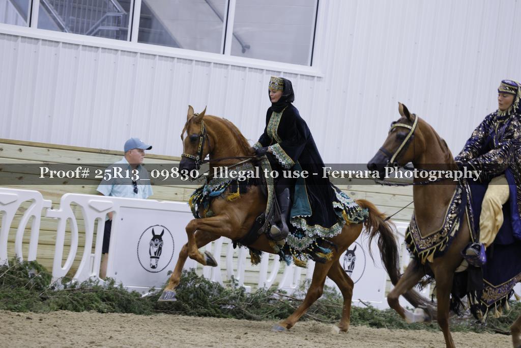 Proof 25R13_09830