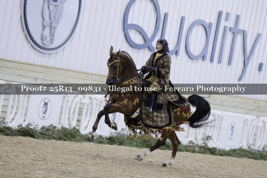 Proof 25R13_09831