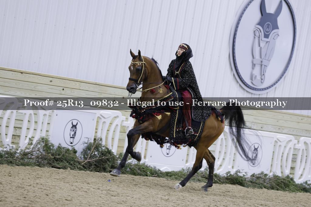 Proof 25R13_09832