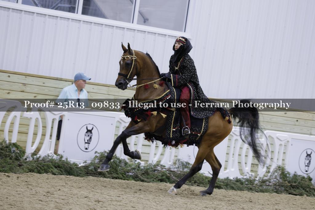Proof 25R13_09833