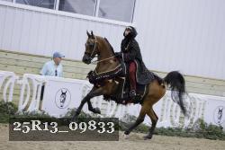 25R13_09833 proof