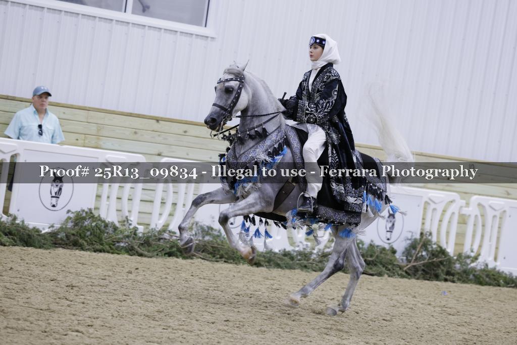 Proof 25R13_09834