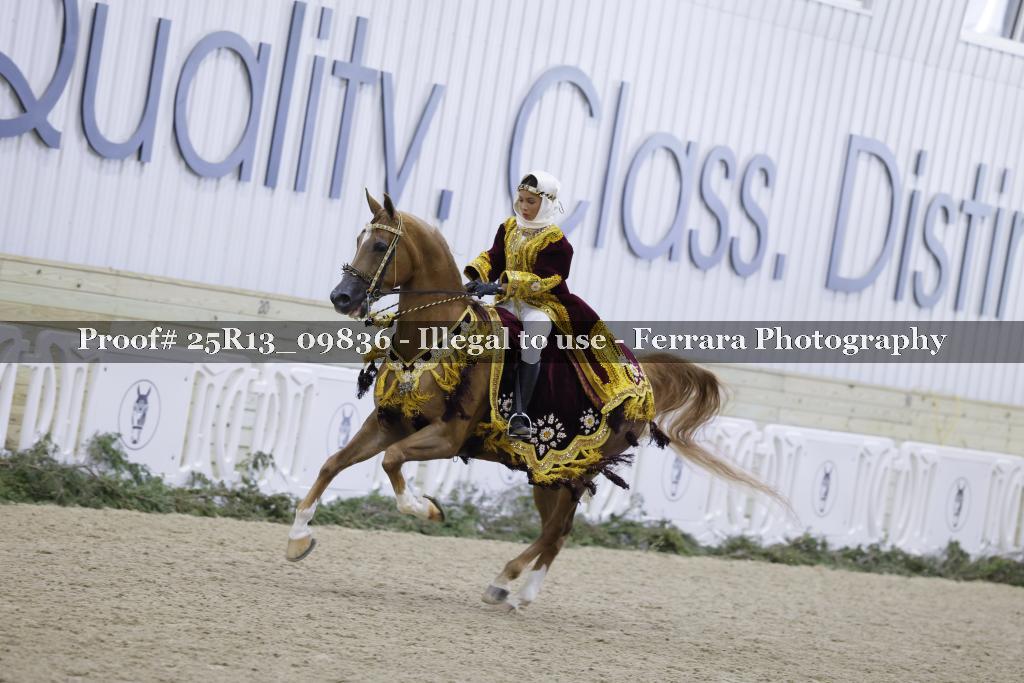Proof 25R13_09836