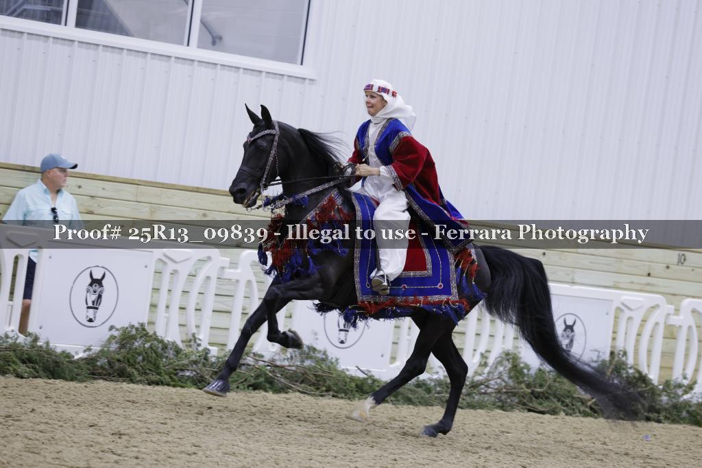 Proof 25R13_09839