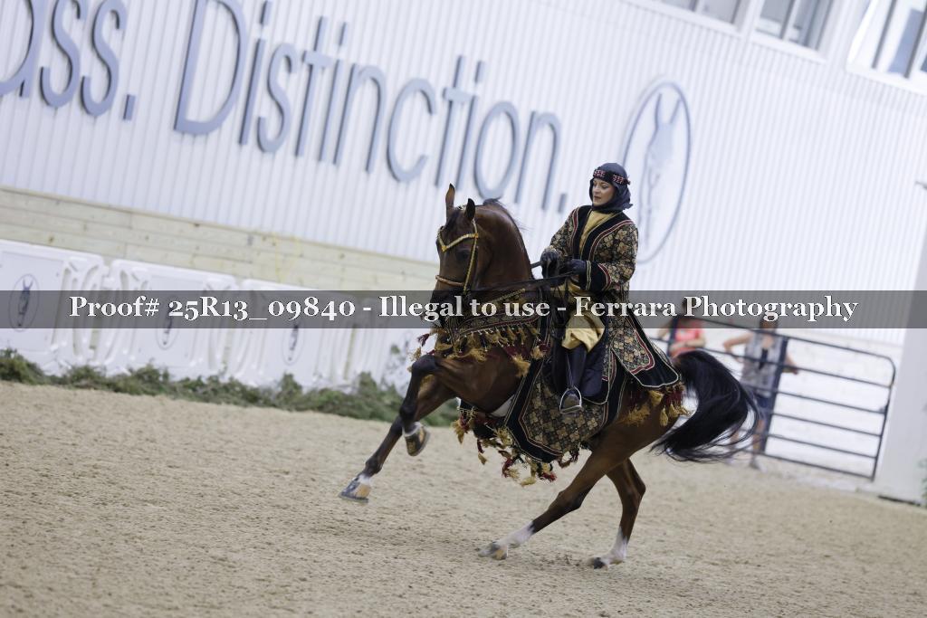 Proof 25R13_09840