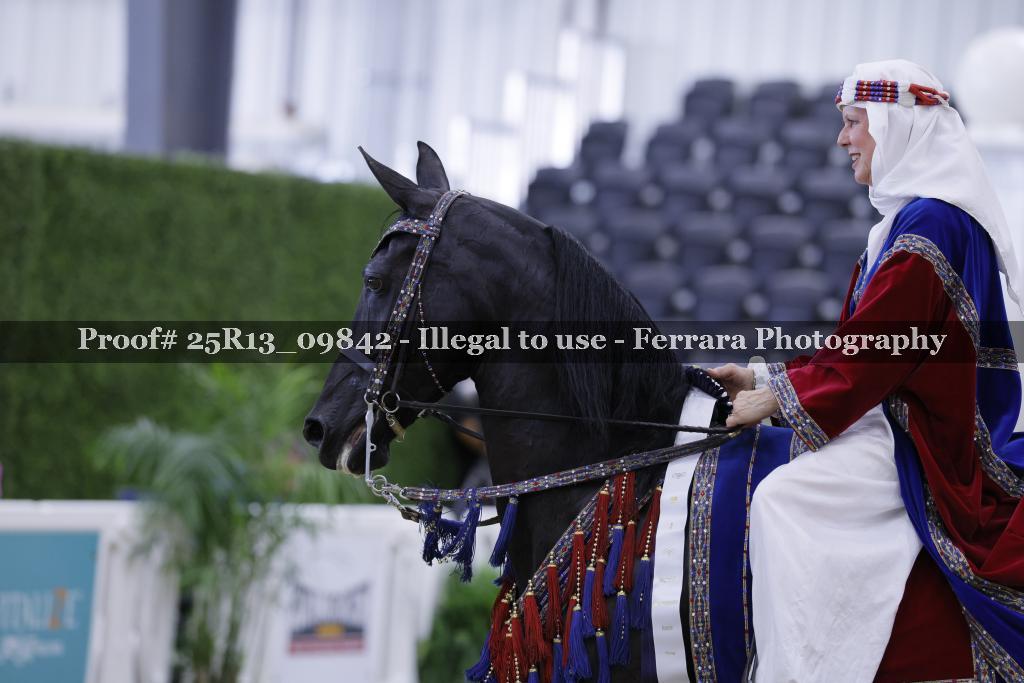 Proof 25R13_09842