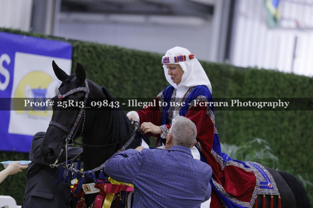 Proof 25R13_09843