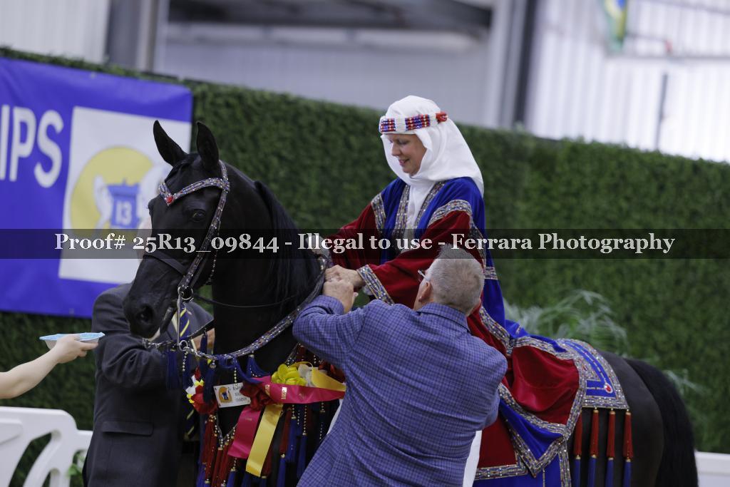 Proof 25R13_09844
