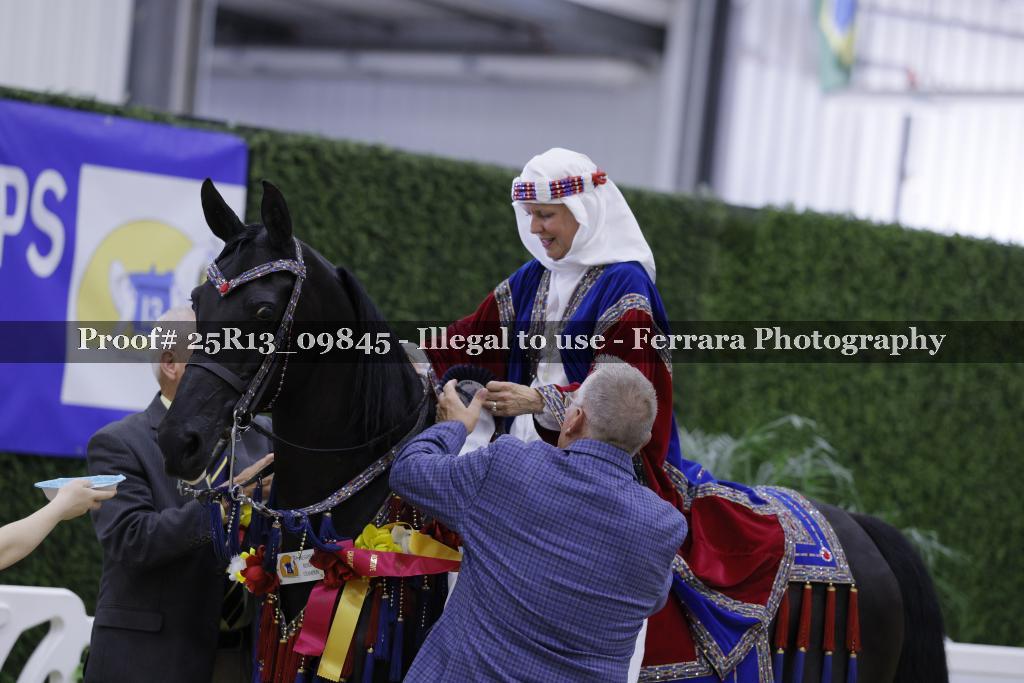 Proof 25R13_09845