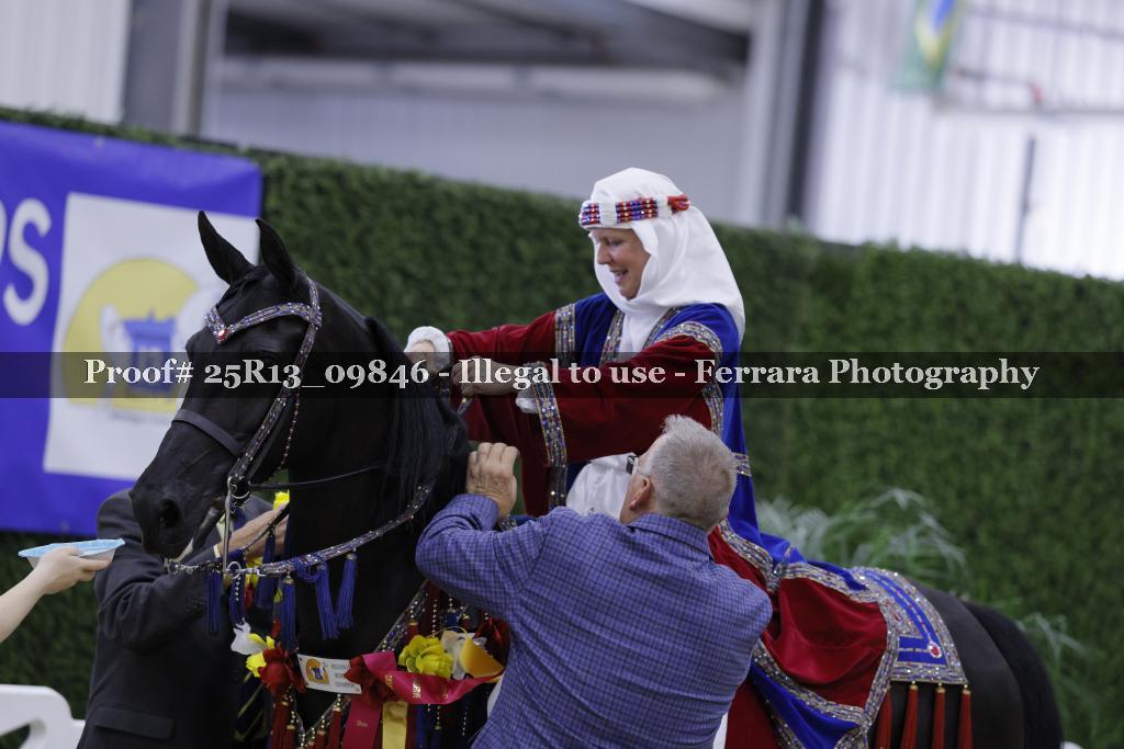 Proof 25R13_09846