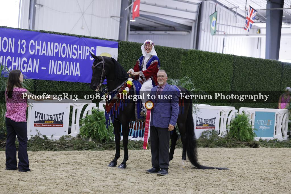 Proof 25R13_09849
